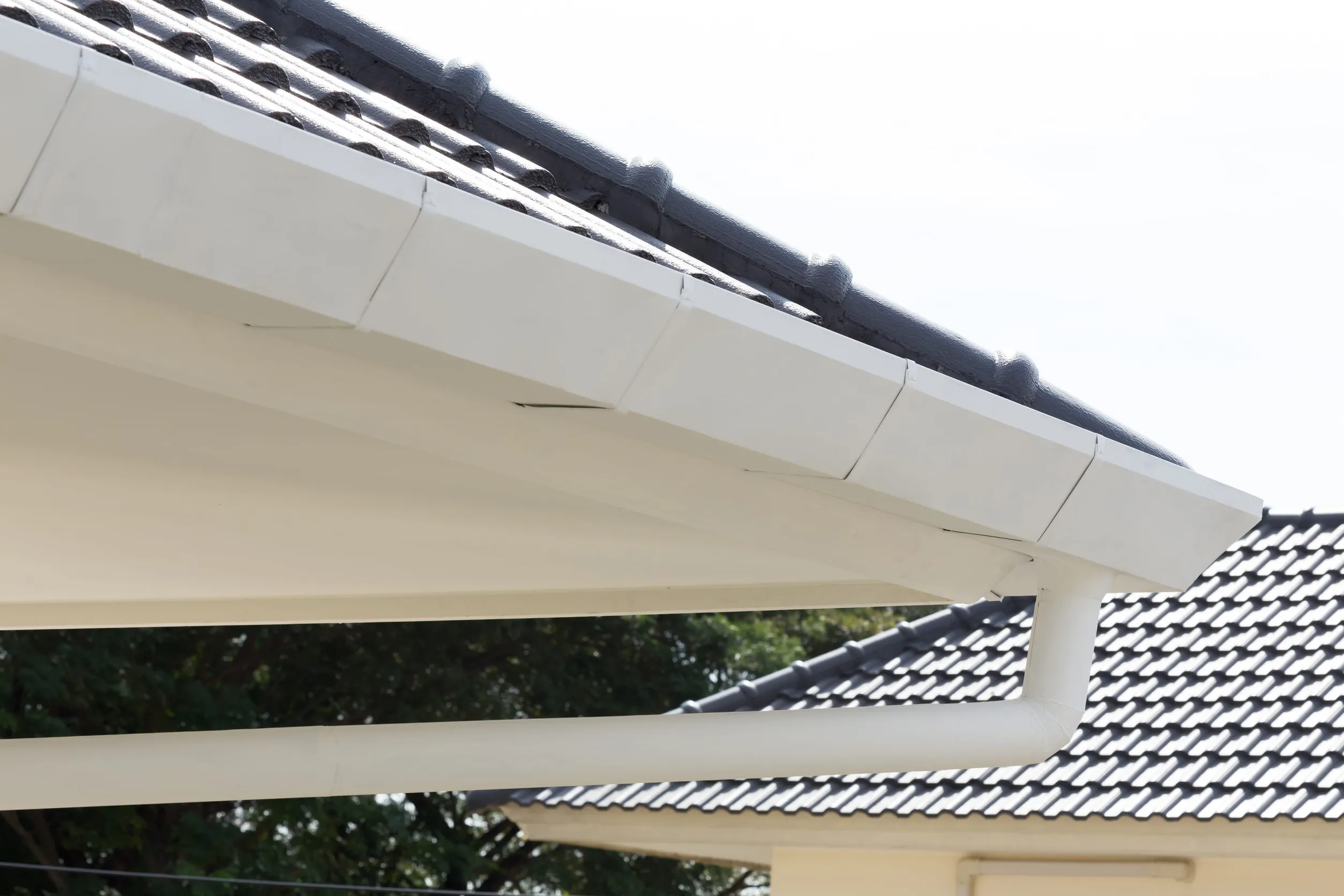 gutter on the roof top of house